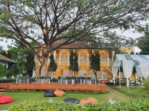 20,000㎡Thai family with ancient trees in front of door and rice fields in front of it, it's nothing like being a farmer
