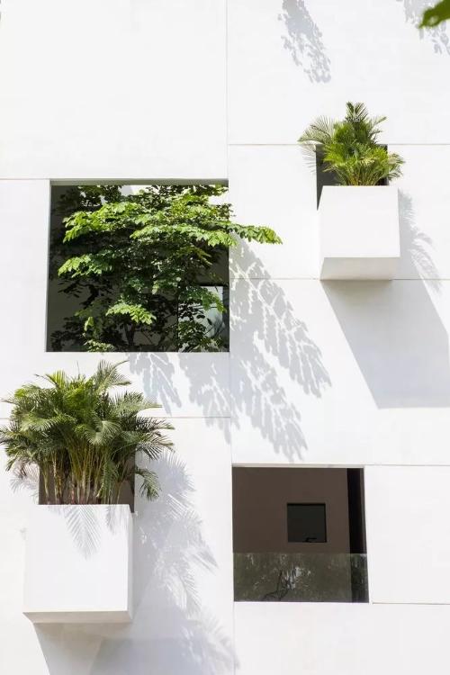 The single family villa + vertical space system is a home that can accommodate sunlight, rainwater and green plants.
