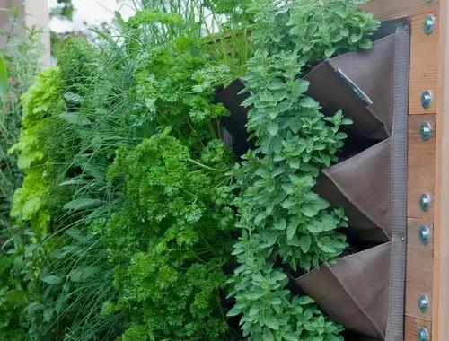 Decorating other people's villas has become a hot search again. The 90 square meters garden is used for growing vegetables. Not only is it not polluted, but it is also very beautiful.
