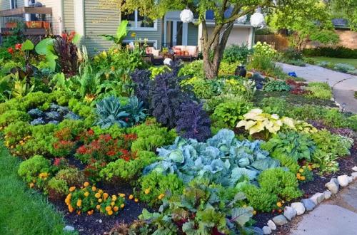 Decorating other people's villas has become a hot search again. The 90 square meters garden is used for growing vegetables. Not only is it not polluted, but it is also very beautiful.
