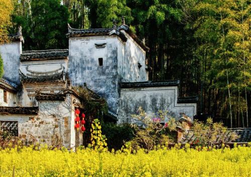 Among top ten homestay options in 2021, 8 are located in rural areas, boosting economy with their looks.
