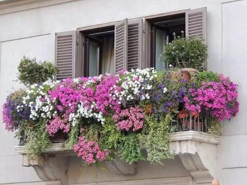 Still jealous of villas with small yards? A small balcony can also become a large garden!
