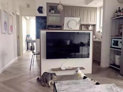 78㎡ simple and small two-bedroom apartment built TV wall is so beautiful!
